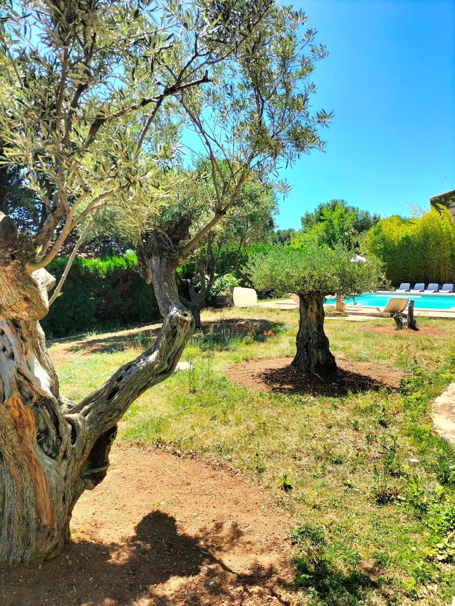Vacances Carnoux-en-Provence Eksteriør billede